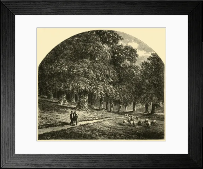 Framed Print : Druid-Hill Park, 1874. Creator: John Filmer Framed Print : Druid-Hill Park, 1874. Creator: John Filmer