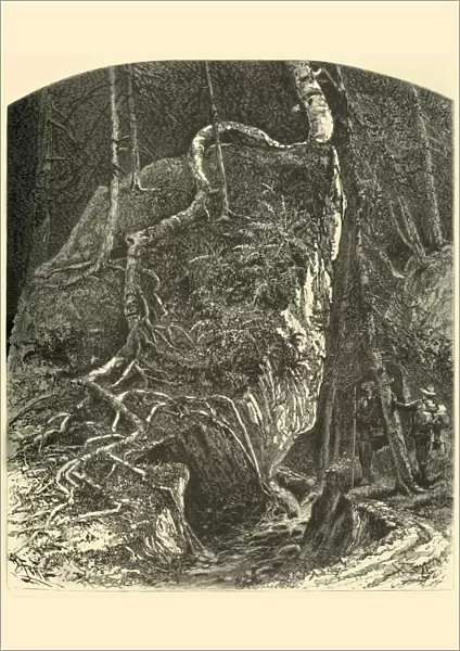 Rocks in Smugglers Notch, 1874. Creator: Harry Fenn