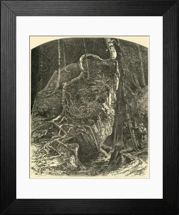 Framed Print : Rocks in Smugglers Notch, 1874. Creator: Harry Fenn Framed Print : Rocks in Smugglers Notch, 1874. Creator: Harry Fenn