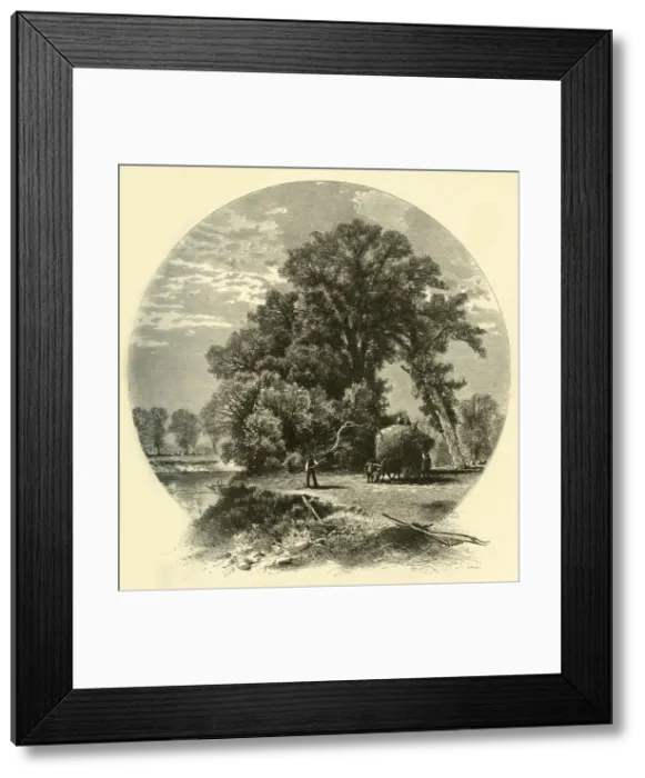 Framed Print : Elms on the Genesee Flats, 1874. Creator: John J. Harley Framed Print : Elms on the Genesee Flats, 1874. Creator: John J. Harley