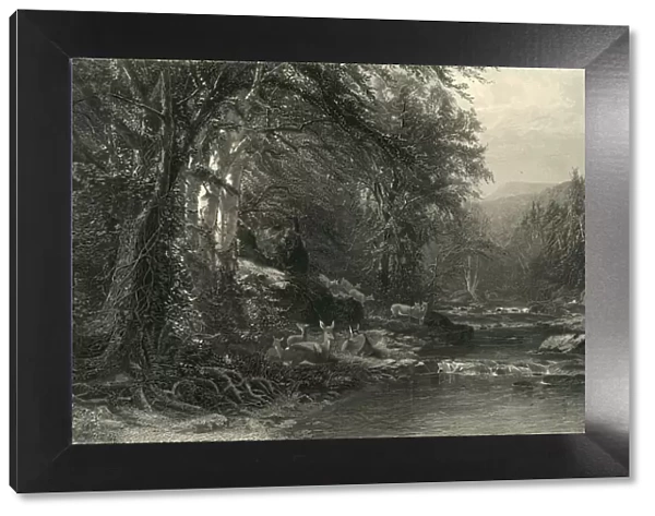 The Adirondack Woods, 1874. Creator: Robert Hinshelwood