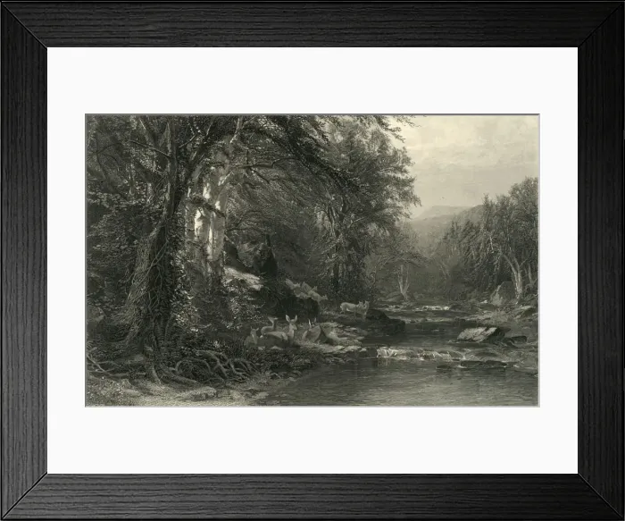 Framed Print : The Adirondack Woods, 1874. Creator: Robert Hinshelwood Framed Print : The Adirondack Woods, 1874. Creator: Robert Hinshelwood