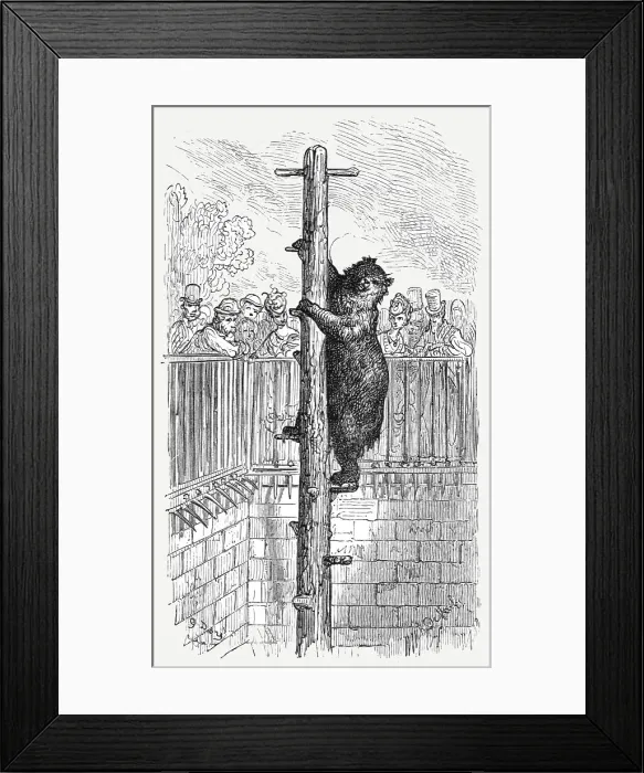 Framed Print : The Bear Pit - Zoological Gardens, 1872. Creator: Gustave Doré Framed Print : The Bear Pit - Zoological Gardens, 1872. Creator: Gustave Doré