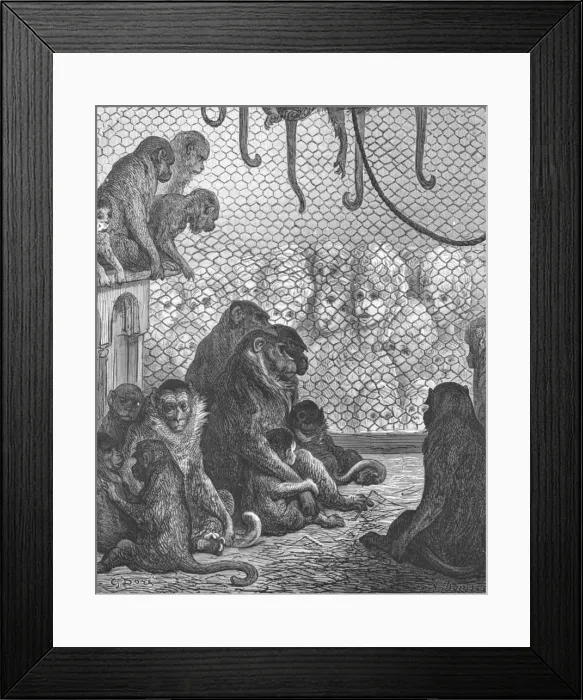 Framed Print : Zoological Gardens - The Monkey House, 1872. Creator: Gustave Doré Framed Print : Zoological Gardens - The Monkey House, 1872. Creator: Gustave Doré