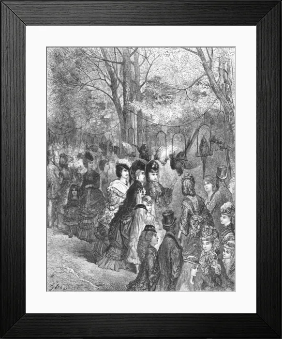 Framed Print : Zoological Gardens - The Parrot Walk, 1872. Creator: Gustave Doré Framed Print : Zoological Gardens - The Parrot Walk, 1872. Creator: Gustave Doré