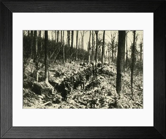 Framed Print : Canadian Infantry in a Wood at the Front, First World War, 1915-1916, (c1920). Creator: Unknown Framed Print : Canadian Infantry in a Wood at the Front, First World War, 1915-1916, (c1920). Creator: Unknown