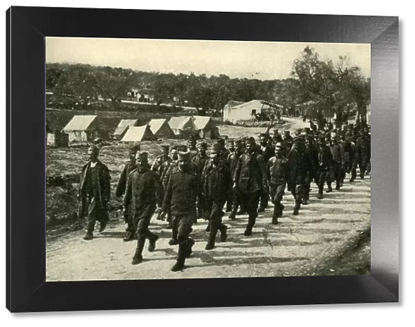 Reorganizing the Serbian Army: troops... on Corfu Island, First World War, c1916, (c1920)