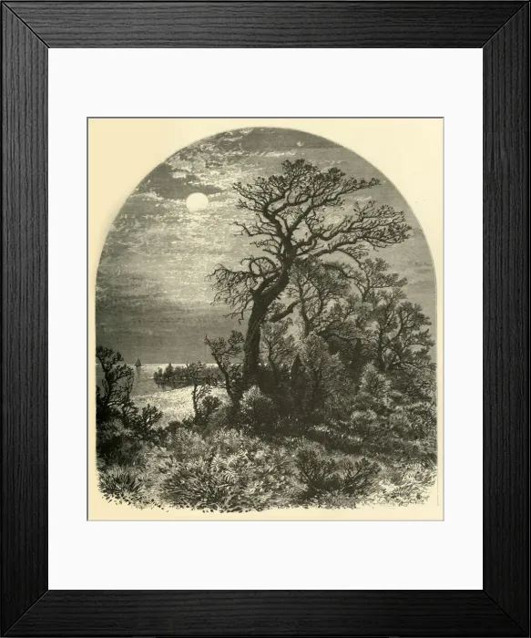 Framed Print : Point of Cape Ann, from Cedar Avenue, Pigeon Cove, 1874. Creator: J. C. S Framed Print : Point of Cape Ann, from Cedar Avenue, Pigeon Cove, 1874. Creator: J. C. S