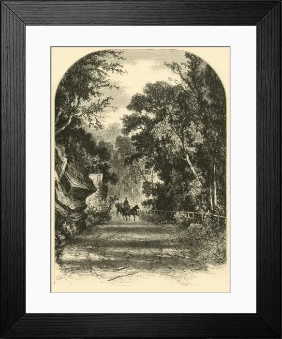 Framed Print : Drive along the Wissahickon, 1874. Creator: James H. Richardson Framed Print : Drive along the Wissahickon, 1874. Creator: James H. Richardson