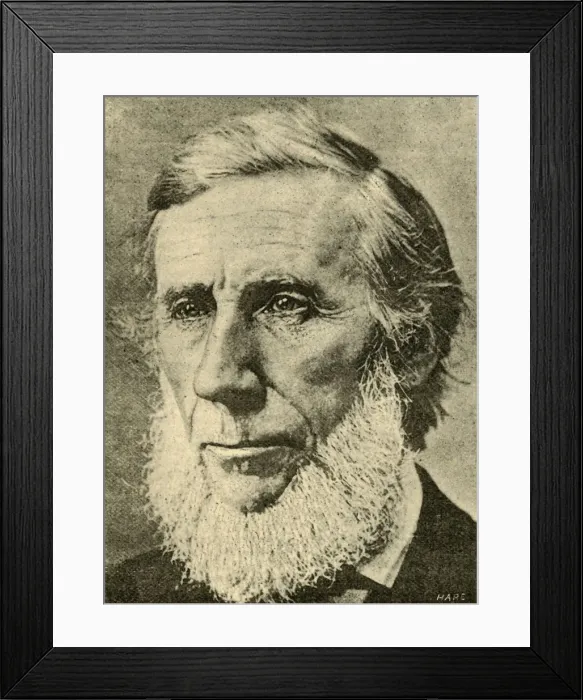 Framed Print : John Tyndall, 1887. Creator: Unknown Framed Print : John Tyndall, 1887. Creator: Unknown