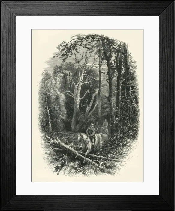 Framed Print : In Cedar Walk, Virginia Water, c1870 Framed Print : In Cedar Walk, Virginia Water, c1870