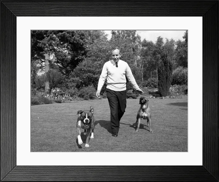 Framed Print : John Surtees playing with his pet dogs at home 1966. Creator: Unknown Framed Print : John Surtees playing with his pet dogs at home 1966. Creator: Unknown