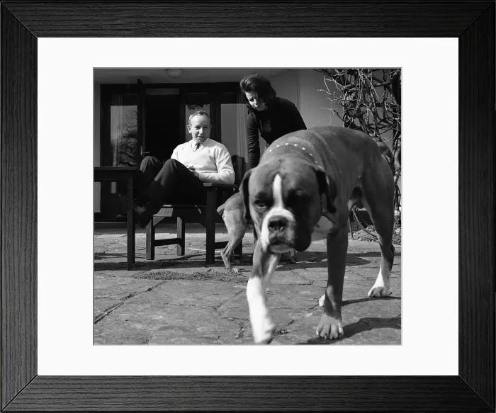 Framed Print : John Surtees relaxes at home with his wife and pet dogs in 1966. Creator: Unknown Framed Print : John Surtees relaxes at home with his wife and pet dogs in 1966. Creator: Unknown