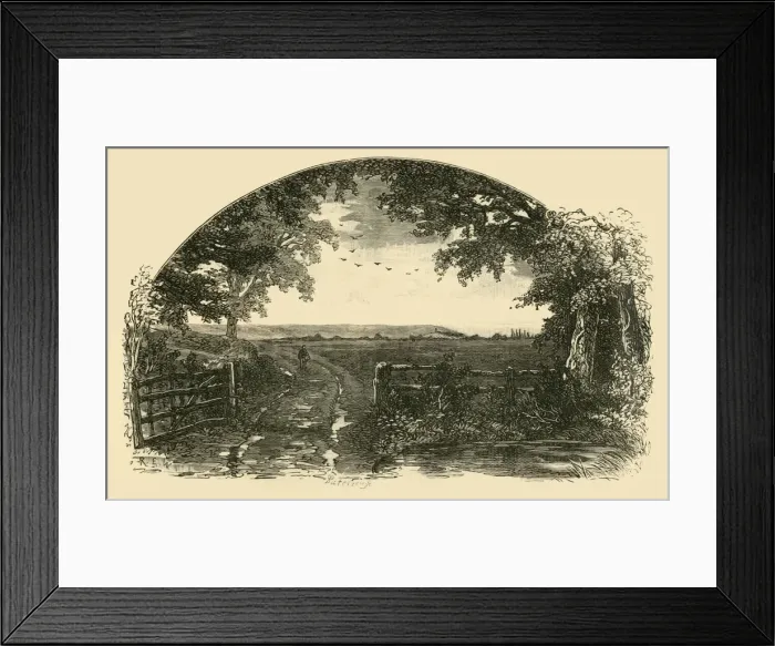 Framed Print : Entrance to Sedgemoor from Chedzoy, 1898. Creator: Unknown Framed Print : Entrance to Sedgemoor from Chedzoy, 1898. Creator: Unknown