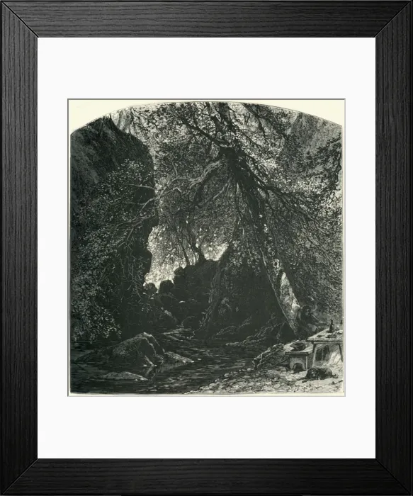 Framed Print : The Dargle, c1870 Framed Print : The Dargle, c1870