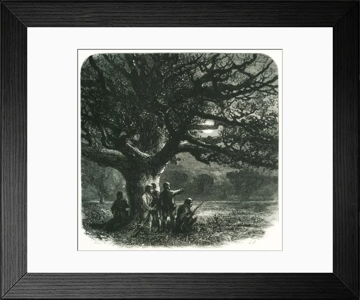 Framed Print : The Watch Oak, c1870 Framed Print : The Watch Oak, c1870