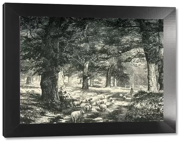 In Sherwood Forest, c1870