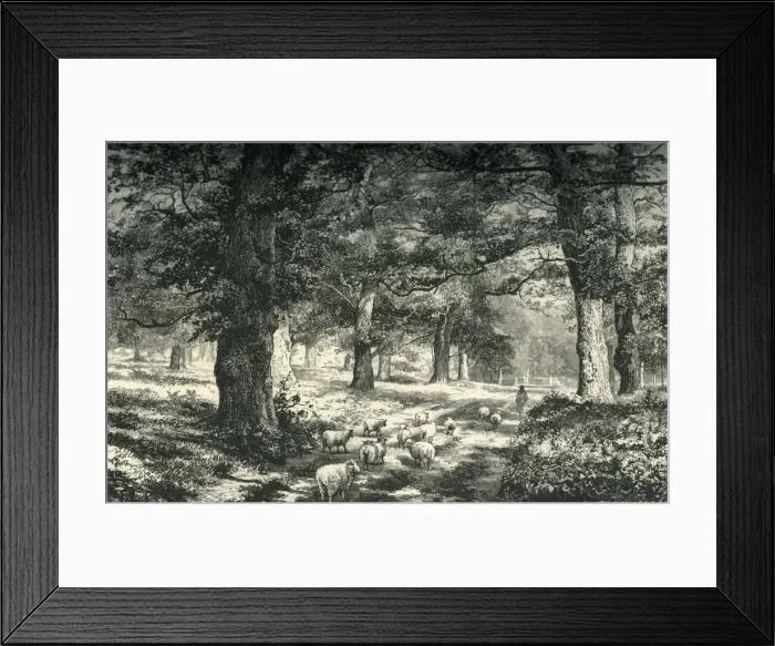 Framed Print : In Sherwood Forest, c1870 Framed Print : In Sherwood Forest, c1870
