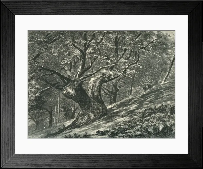 Framed Print : At Coney Hill, Hayes Common, Kent, c1870 Framed Print : At Coney Hill, Hayes Common, Kent, c1870