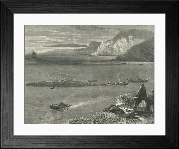 Framed Print : Pilchard Fishing off the Lizard, c1870 Framed Print : Pilchard Fishing off the Lizard, c1870
