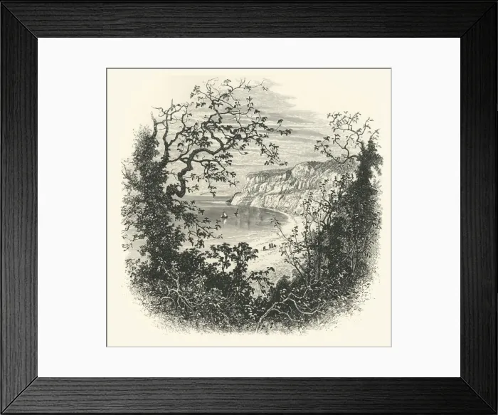 Framed Print : View from the Entrance to Shanklin Chine, c1870 Framed Print : View from the Entrance to Shanklin Chine, c1870