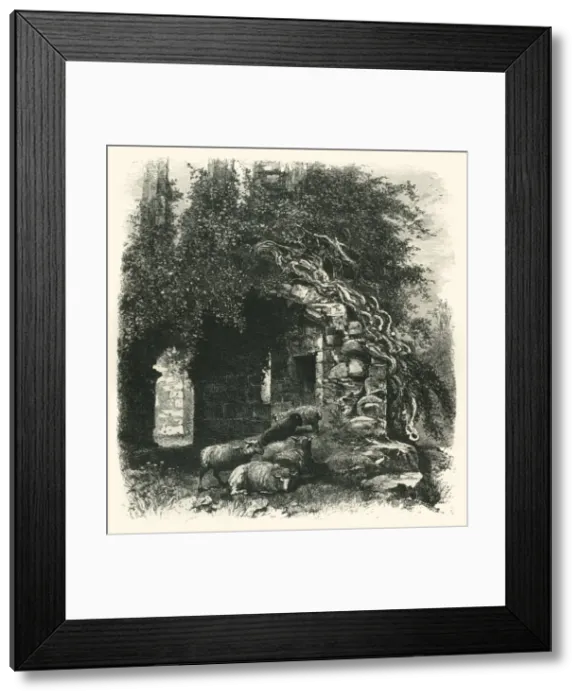 Framed Print : Archway, Kenilworth Castle, c1870 Framed Print : Archway, Kenilworth Castle, c1870