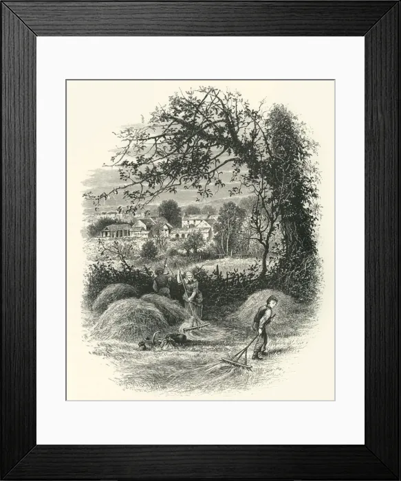 Framed Print : Sir Richard Steeles House, near Caermarthen (The White House), c1870 Framed Print : Sir Richard Steeles House, near Caermarthen (The White House), c1870