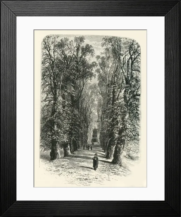 Framed Print : Trinity College Avenue, Cambridge, c1870 Framed Print : Trinity College Avenue, Cambridge, c1870