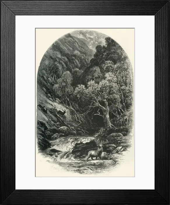 Framed Print : Glen Tilt, c1870 Framed Print : Glen Tilt, c1870
