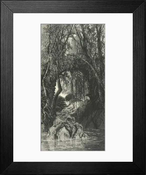 Framed Print : The Torrent Walk, Dolgelly, c1870 Framed Print : The Torrent Walk, Dolgelly, c1870