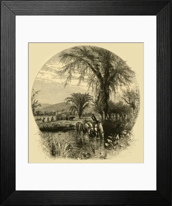 Framed Print : The White Mountains, from the Conway Meadows, 1872. Creator: Harry Fenn Framed Print : The White Mountains, from the Conway Meadows, 1872. Creator: Harry Fenn