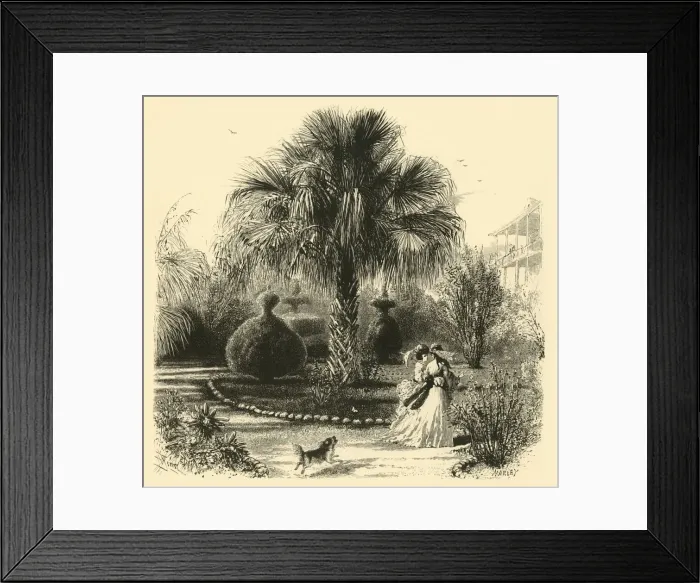 Framed Print : A Garden in Charleston, 1872. Creator: John J. Harley Framed Print : A Garden in Charleston, 1872. Creator: John J. Harley