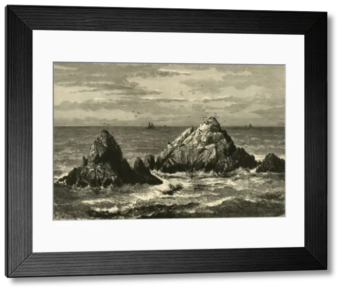 Framed Print : Seal Rocks, 1872. Creator: John Filmer Framed Print : Seal Rocks, 1872. Creator: John Filmer