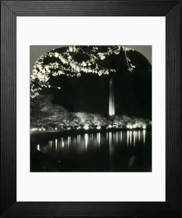 Framed Print : When It Is Cherry Blossom Time in Washington - A Lovely Night View of Washington Monument Framed Print : When It Is Cherry Blossom Time in Washington - A Lovely Night View of Washington Monument