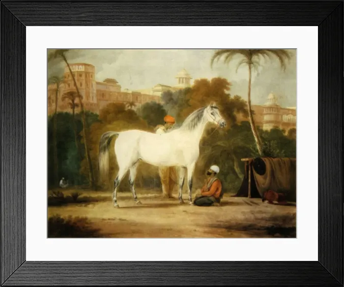 Framed Print : Charles IIs Royal Mare, c1685, (1944). Creator: Johann Christof Sartorius Framed Print : Charles IIs Royal Mare, c1685, (1944). Creator: Johann Christof Sartorius