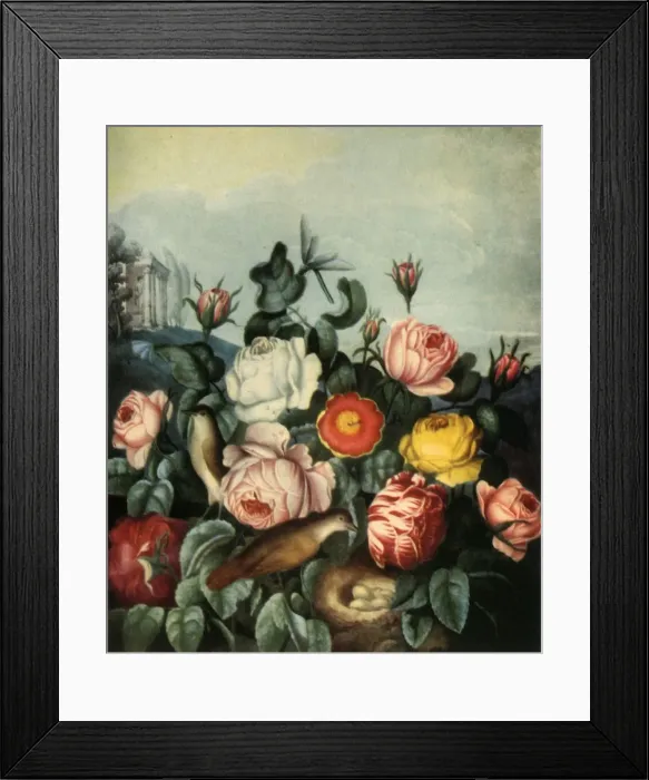 Framed Print : Roses, 1799, (1944). Creator: Richard Earlom Framed Print : Roses, 1799, (1944). Creator: Richard Earlom