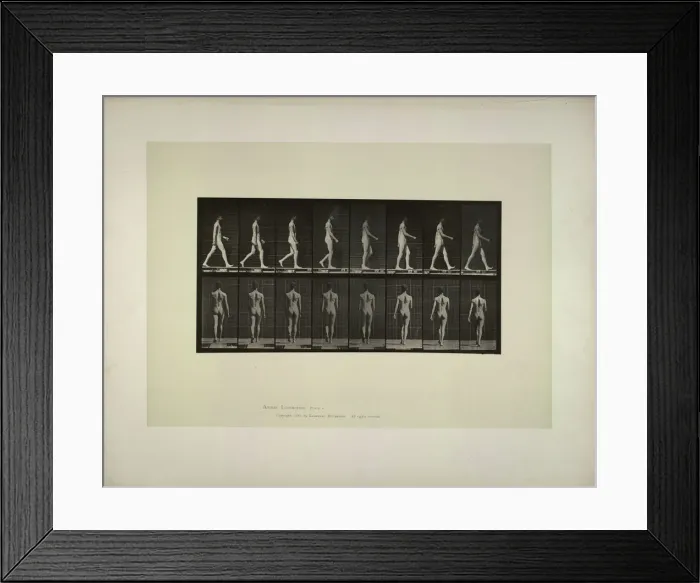 Framed Print : Animal locomotion: males (pelvis cloth), 1887. Creator: Muybridge, Eadweard (1830-1904) Framed Print : Animal locomotion: males (pelvis cloth), 1887. Creator: Muybridge, Eadweard (1830-1904)
