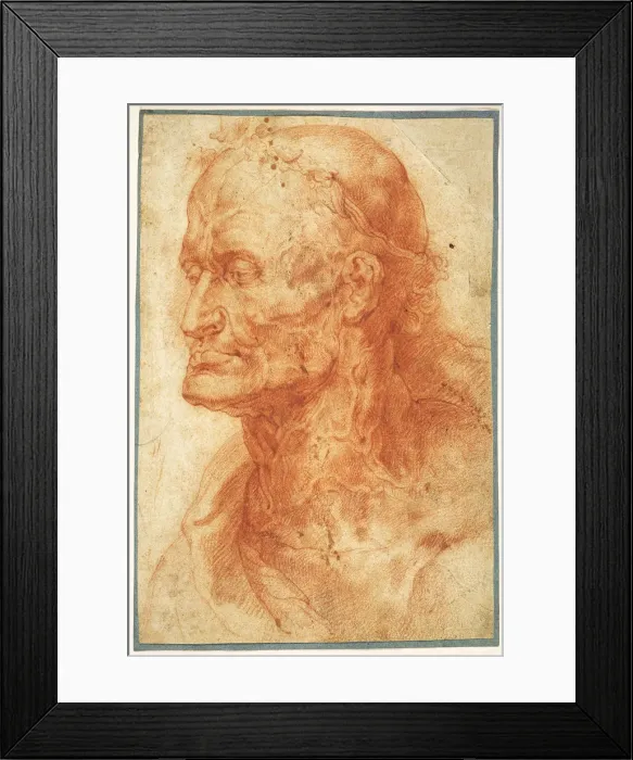 Framed Print : Study of an Old Mans Head, ca 1602. Creator: Rubens, Pieter Paul (1577-1640)