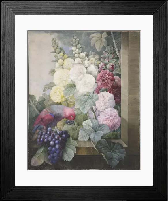 Framed Print : Hollyhocks, grapes and a parrot, 1836. Creator: Redoute, Pierre-Joseph (1759-1840) Framed Print : Hollyhocks, grapes and a parrot, 1836. Creator: Redoute, Pierre-Joseph (1759-1840)