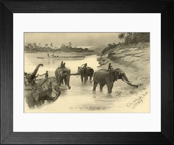 Framed Print : Elephants on the banks of the Mahaweli River, Ceylon, 1898. Creator: Christian Wilhelm Allers Framed Print : Elephants on the banks of the Mahaweli River, Ceylon, 1898. Creator: Christian Wilhelm Allers