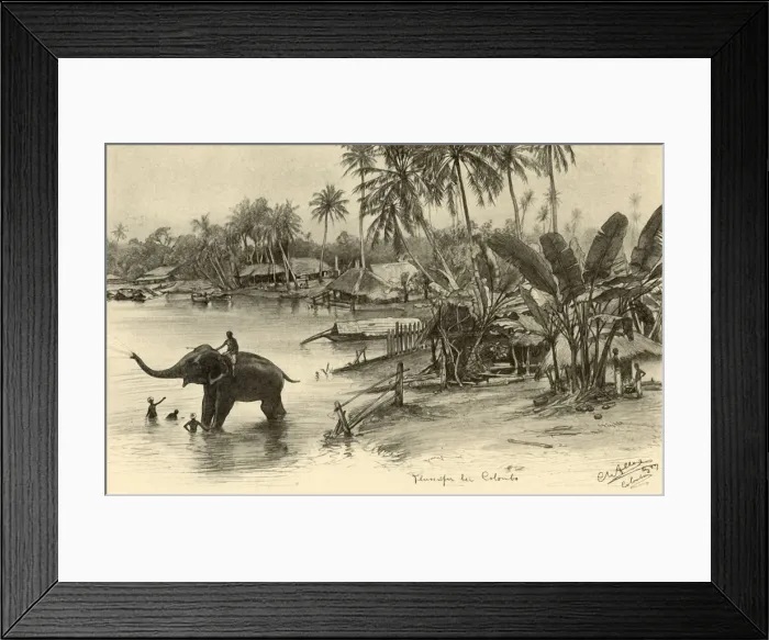Framed Print : Washing an elephant in the river, Colombo, Ceylon, 1898. Creator: Christian Wilhelm Allers Framed Print : Washing an elephant in the river, Colombo, Ceylon, 1898. Creator: Christian Wilhelm Allers
