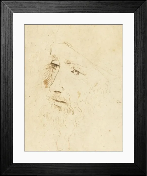 Framed Print : Portrait of Leonardo da Vinci, ca 1518. Creator: Leonardo da Vinci, (Circle of) Framed Print : Portrait of Leonardo da Vinci, ca 1518. Creator: Leonardo da Vinci, (Circle of)