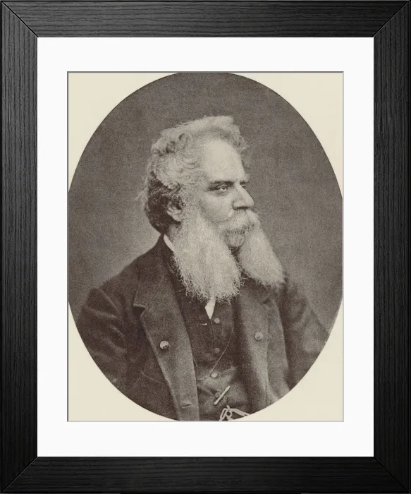 Framed Print : Portrait of the composer Federico Ricci (1809-1877), c. 1870. Creator: Anonymous Framed Print : Portrait of the composer Federico Ricci (1809-1877), c. 1870. Creator: Anonymous