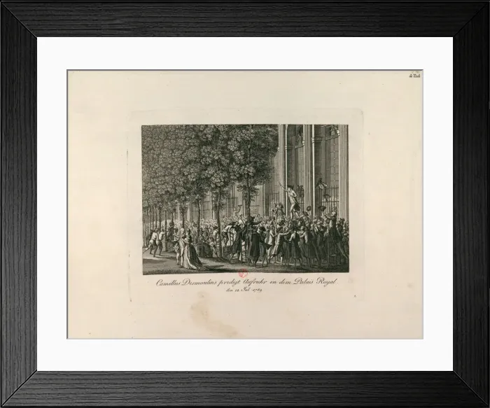 Framed Print : Camille Desmoulins in the Palais Royal Gardens, c. 1797-1800. Creator: Anonymous Framed Print : Camille Desmoulins in the Palais Royal Gardens, c. 1797-1800. Creator: Anonymous
