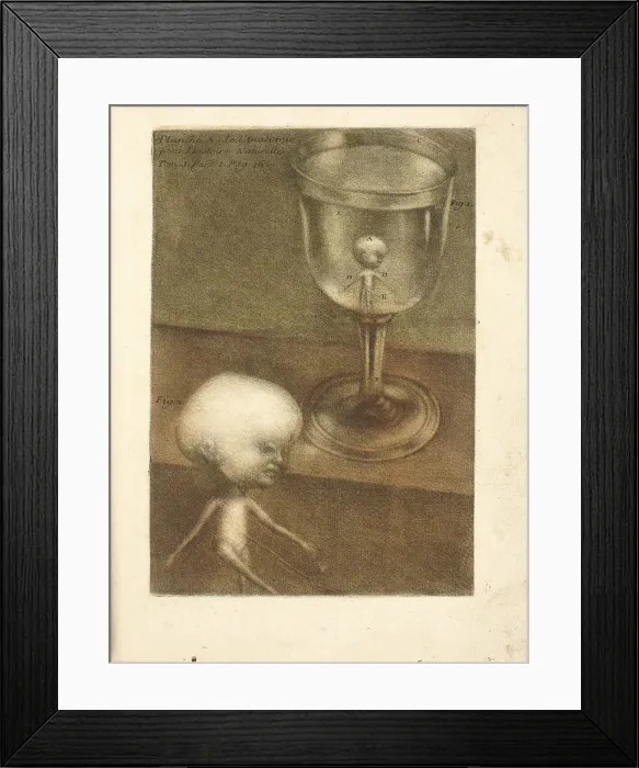 Framed Print : Observations sur l histoire naturelle, sur la physique et sur la peinture, 1752. Creator Framed Print : Observations sur l histoire naturelle, sur la physique et sur la peinture, 1752. Creator