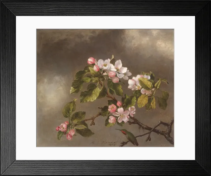Framed Print : Hummingbird and Apple Blossoms, 1875. Creator: Martin Johnson Heade Framed Print : Hummingbird and Apple Blossoms, 1875. Creator: Martin Johnson Heade