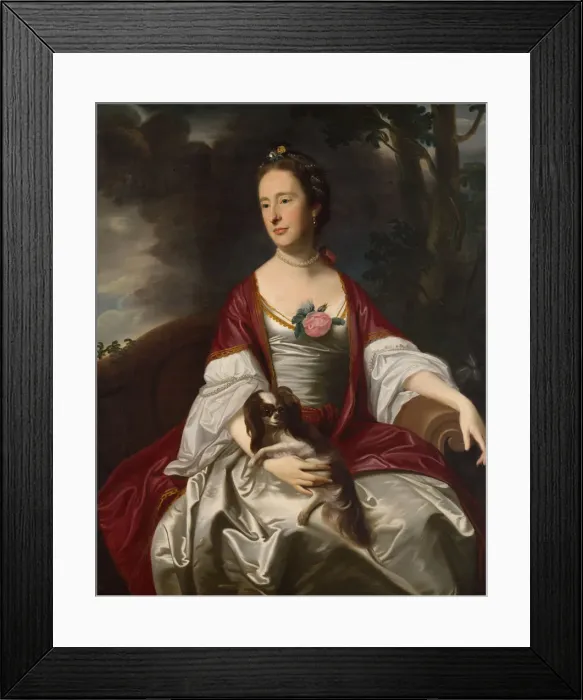 Framed Print : Mrs. Jerathmael Bowers, ca. 1763. Creator: John Singleton Copley Framed Print : Mrs. Jerathmael Bowers, ca. 1763. Creator: John Singleton Copley