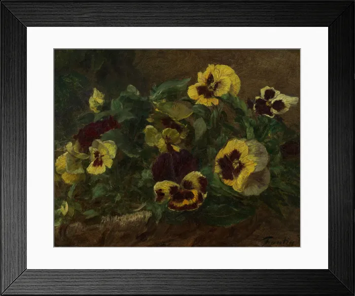 Framed Print : Pansies, 1903. Creator: Henri Fantin-Latour Framed Print : Pansies, 1903. Creator: Henri Fantin-Latour