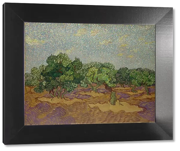 Olive Trees, 1889. Creator: Vincent van Gogh