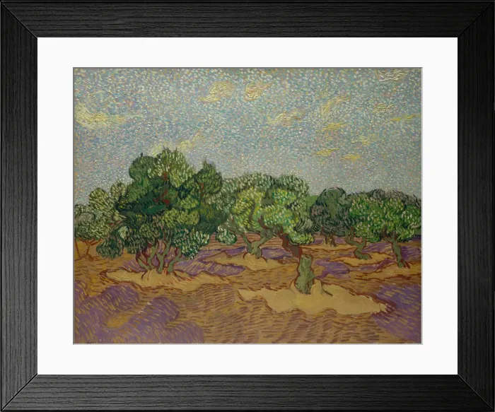 Framed Print : Olive Trees, 1889. Creator: Vincent van Gogh Framed Print : Olive Trees, 1889. Creator: Vincent van Gogh